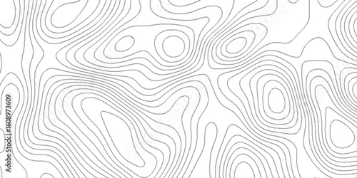 Topographic contour lines map seamless pattern, vector natural shadow papercut web topography map spiral line, pattern shape in organic wood on white and transparent background.