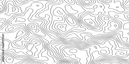 abstract topo image grid geographic relief digital topography map design, terrain map contours illustration relief, landscape geodesy topographic map background.