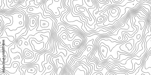 White mountain landscape topography map contour grid discovery, lines topographic contour lines grid map seamless pattern, geographic mountain relief diagram line wave carve pattern .