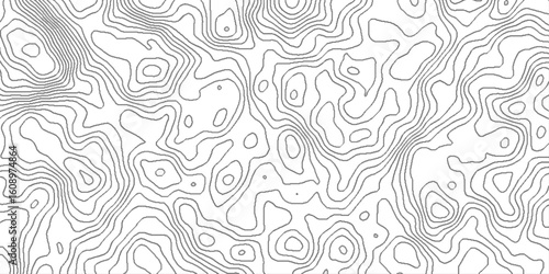 White mountain landscape topography map contour grid discovery, lines topographic contour lines grid map seamless pattern, geographic mountain relief diagram line wave carve pattern .