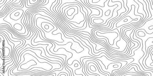 White mountain landscape topography map contour grid discovery, lines topographic contour lines grid map seamless pattern, geographic mountain relief diagram line wave carve pattern .