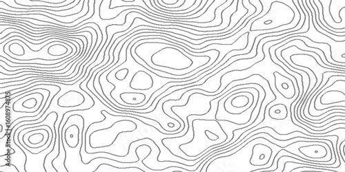 White mountain landscape topography map contour grid discovery, lines topographic contour lines grid map seamless pattern, geographic mountain relief diagram line wave carve pattern .