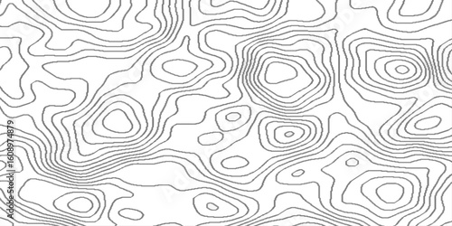 White mountain landscape topography map contour grid discovery, lines topographic contour lines grid map seamless pattern, geographic mountain relief diagram line wave carve pattern .
