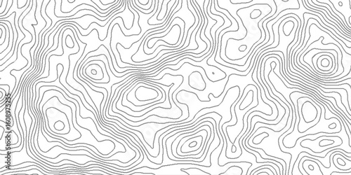 Abstract topographic map, White wave paper curved reliefs abstract background, topographic map pattern simple lines flat graphic design, white landscape with mountains and hills.