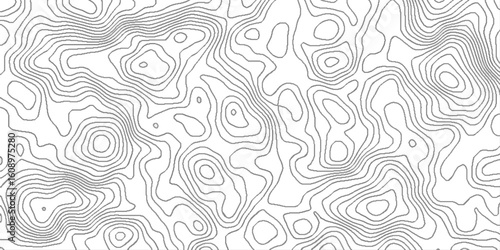 Abstract topographic map, White wave paper curved reliefs abstract background, topographic map pattern simple lines flat graphic design, white landscape with mountains and hills.