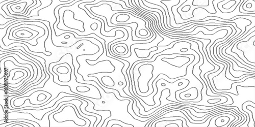 Abstract curve grid map and topo contour map white background, modern graphic topo diagram black line drawing geometric paper art design, topo space surface magic 3d neon curved backdrop mountains.