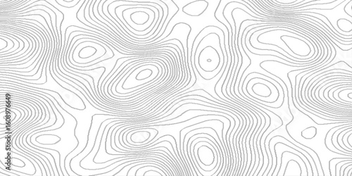 Topographic map patterns white wave paper curved reliefs abstract background, contour abstract map relief land outline, white landscape with mountains and hills, abstract pattern with lines.