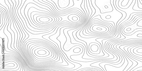 White wave paper curved reliefs abstract background, Topographic map. geographic mountain relief.  lines background, contour maps illustration, a seamless black and white topographic map pattern.
