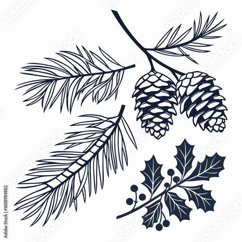 Pine cones and winter foliage line art pine needles holly leaves