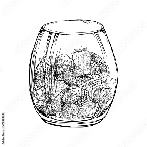 Strawberry full and cut in half served in translucent glass, ripe picked berry pineberry strasberry snakeberry harvest. Isolated illustration hand drawn in vector ink. Farmers market grocery preserves