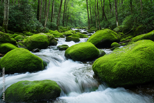 Cascading stream flowing over mossy rocks in a tranquil forest