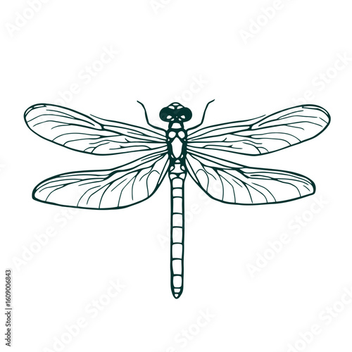 A vibrant green dragonfly vector illustration, an isolated insect with delicate wings, captures the fragility and beauty of nature in a stunning macro close-up