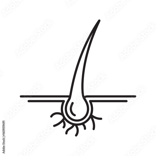 Hair follicle icon for healthy hair growth and scalp care treatment showing strong root for shampoo and cosmetic dermatology product illustration