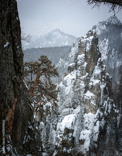 winter landscape with snow-covered taiga, Russia