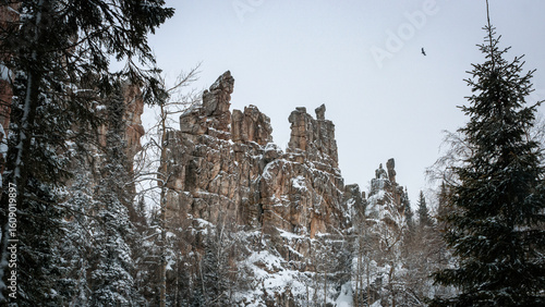 winter landscape with snow-covered taiga, Russia