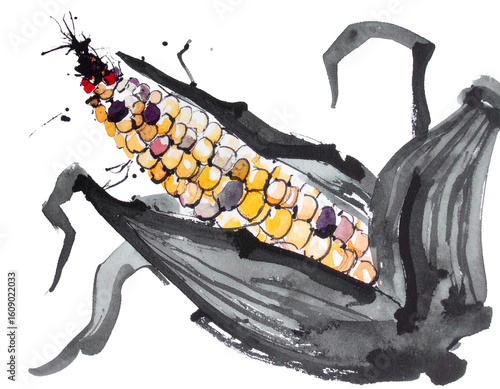 Illustration of corn drawn with a brush. Interesting. Handwritten style. Brush. Harvest. Ink. Vegetables. Seasonal. Izakaya.