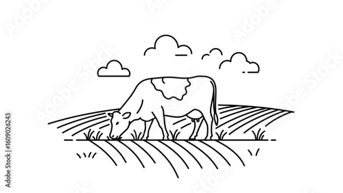 Cow grazing peacefully in a field under fluffy clouds, idyllic farm scene.