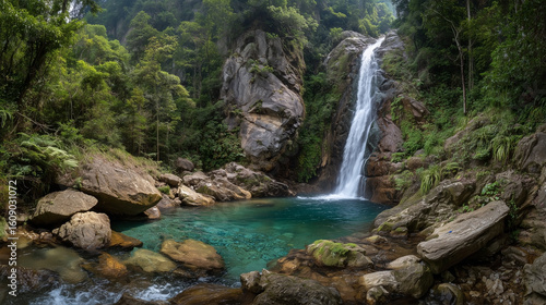 A waterfall is in the middle of a forest