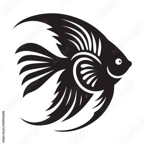 Angel fish on a white background