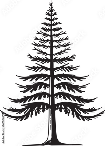 Stylized silhouette of a phoenix bird isolated on transparent background