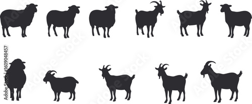Illustration Vector Farm Animal Silhouettes Sheep and Goat Design in Minimalist Style