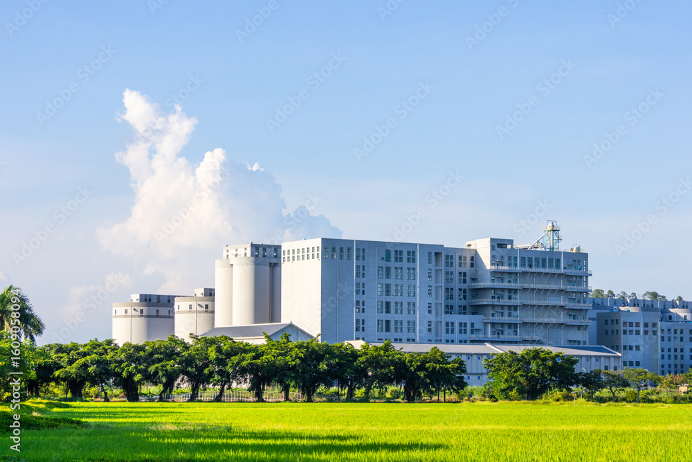 Obraz premium In summer, green rice fields and factory