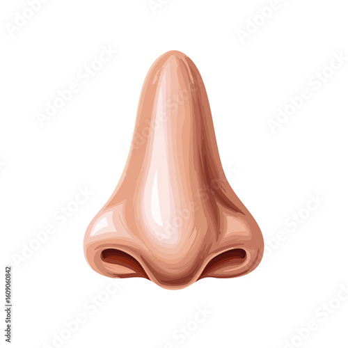Human Nose Front View Isometric Icon