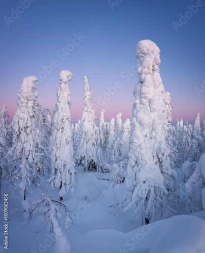 winter landscape with snow-covered taiga, Russia