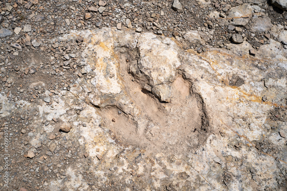 Naklejka premium Trace, Dinosaure, alligaurus, Megalossaurus, Mongisty, Montjaux, 12, Aveyron, France