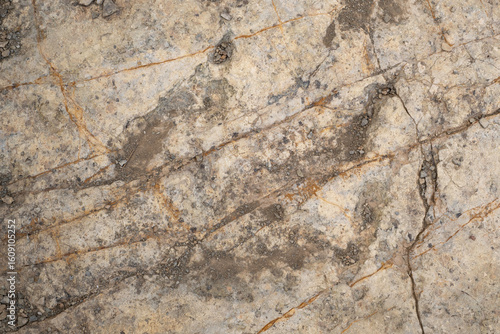 Foto Trace, Dinosaure, alligaurus, Megalossaurus, Mongisty, Montjaux, 12, Aveyron, Fr