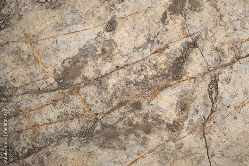 Fototapeta Trace, Dinosaure, alligaurus, Megalossaurus, Mongisty, Montjaux, 12, Aveyron, France