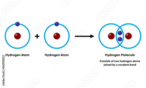 Tableau sur toile Two hydrogen atoms combine to form a hydrogen molecule through a covalent bond,