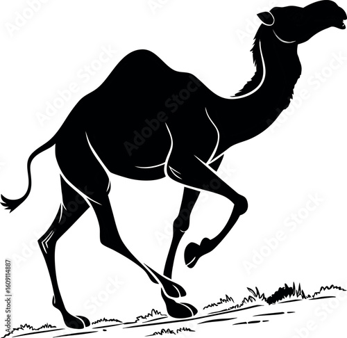  Running camel black vector silhouette, dynamic pose.