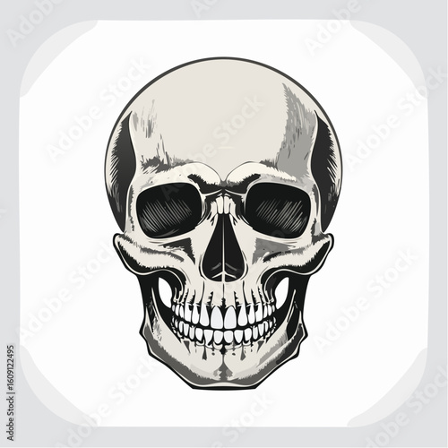 Intricate Human Skull Illustration: A detailed and artistically rendered image of a human skull, showcasing the complex bony structure and intricate details of the human head. 