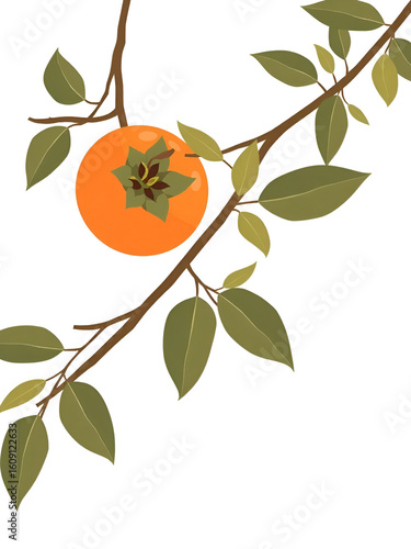 Naklejka Vector Persimmon simple and minima