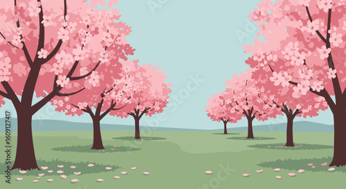 Serene cherry blossom trees in bloom on a clear spring day. Vector illustration
