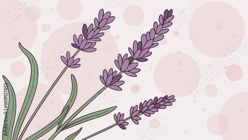 Beautiful lavender flower illustration vector art for aromatherapy and floral design projects download royalty free
