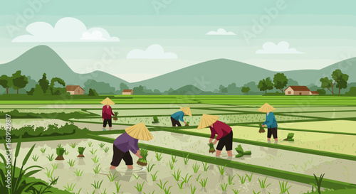 Asian farmers planting rice in lush green paddies with mountainous backdrop. Vector illustration