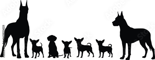silhouette, dog vector shape, animal companion image
