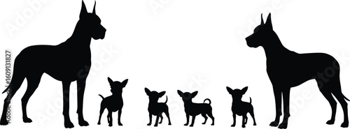 Silhouette of large Great Dane and small Chihuahua dogs, black vector animals, dog breed size comparison, isolated pet illustration, companion animals, sitting standing dogs