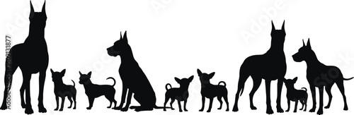Silhouette of large and small dogs, Great Dane and Chihuahua, standing and sitting, dog breed comparison, black vector pet illustration, isolated animal shape