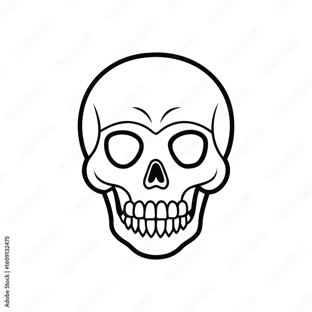 human skull line art isolated on white background human skull line art isolated on white background
