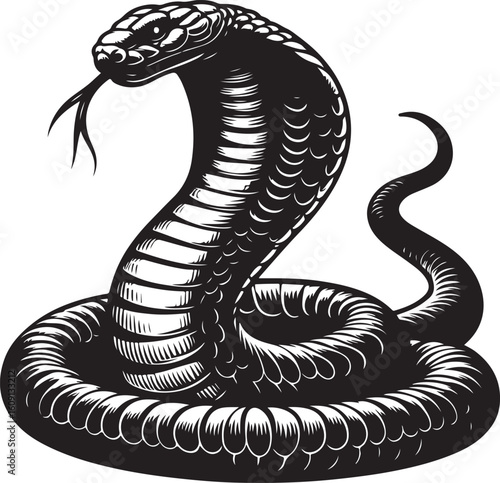 King cobra vector illustration, king cobra silhouette vector illustration 