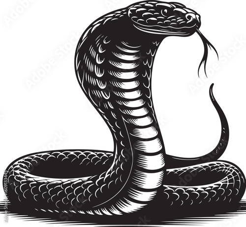 King cobra vector illustration, king cobra silhouette vector illustration 