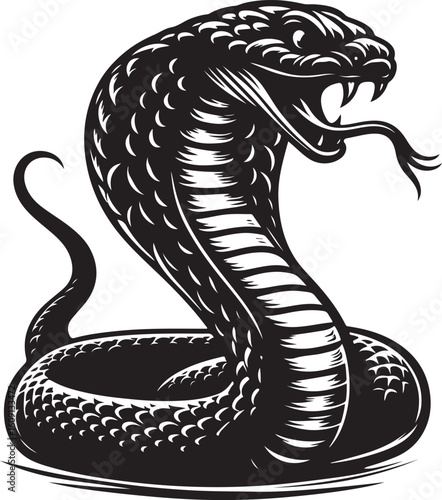 King cobra vector illustration, king cobra silhouette vector illustration 