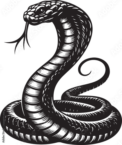 King cobra vector illustration, king cobra silhouette vector illustration 