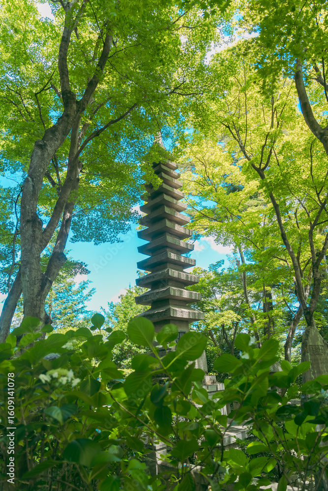 Fototapeta premium 柳谷観音楊谷寺の花手水