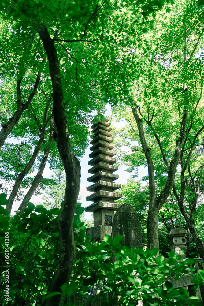 Fototapeta premium 柳谷観音楊谷寺の花手水