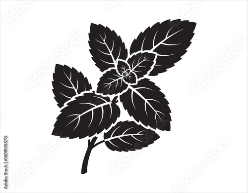 Mint leaves - a black silhouette for a pictogram or logo.
