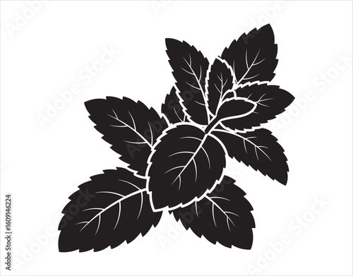 Black vector silhouette of mint leaves for a logo or pictogram.
